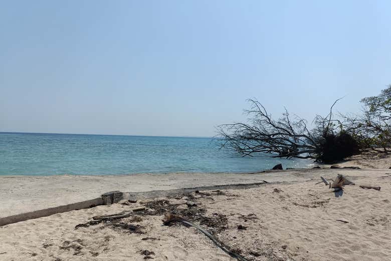 La isla de Enmedio forma parte de una reserva protegida