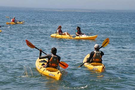 ¡A remar se ha dicho!