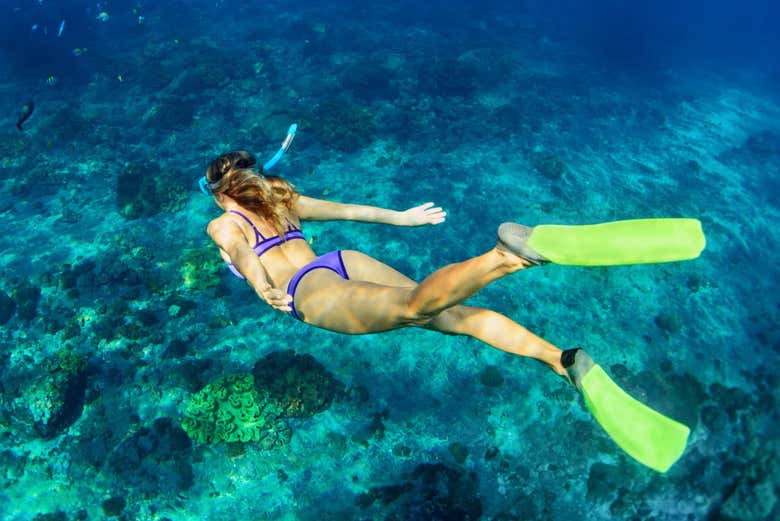 Snorkelling around Isla de Sacrificios