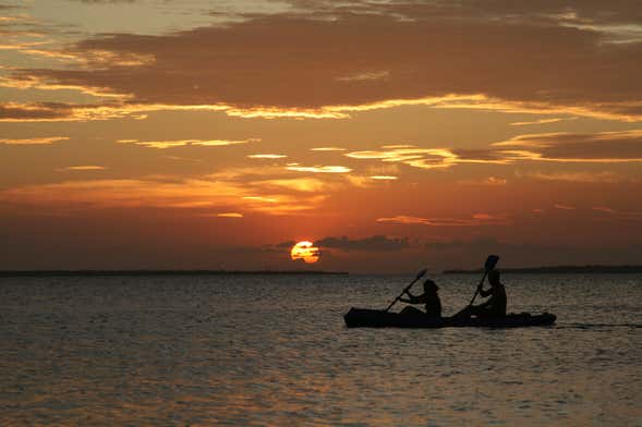 Mandinga Mangroves Night Kayak Tour