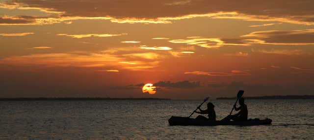 Visite de nuit des mangroves de Mandinga en kayak