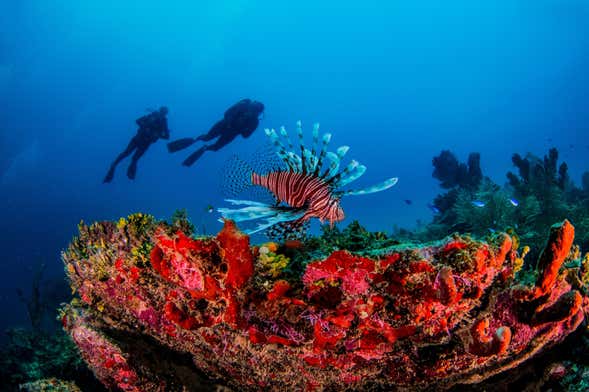 Xcalak Scuba Diving