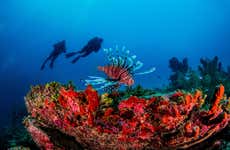 Buceo en Xcalak