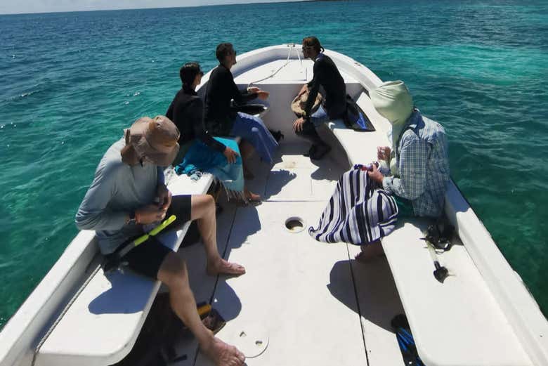 Sailing over the corals