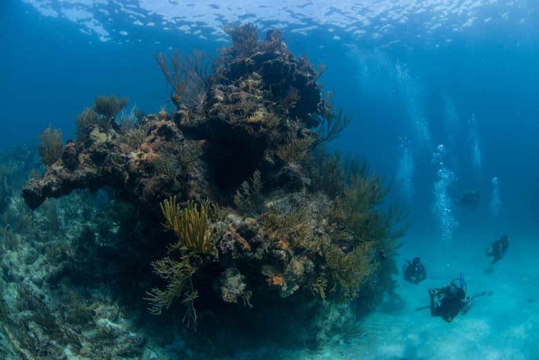 Scuba diving in Xcalak