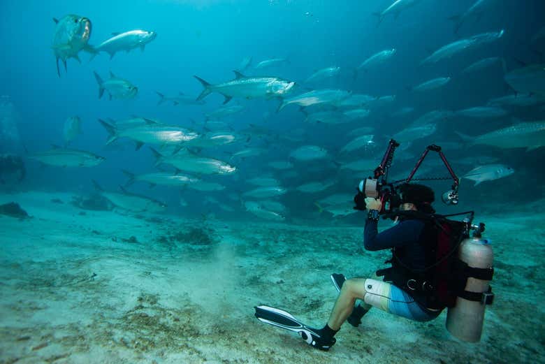 Taking photos of the fish