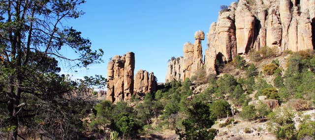 Excursión a Sombrerete