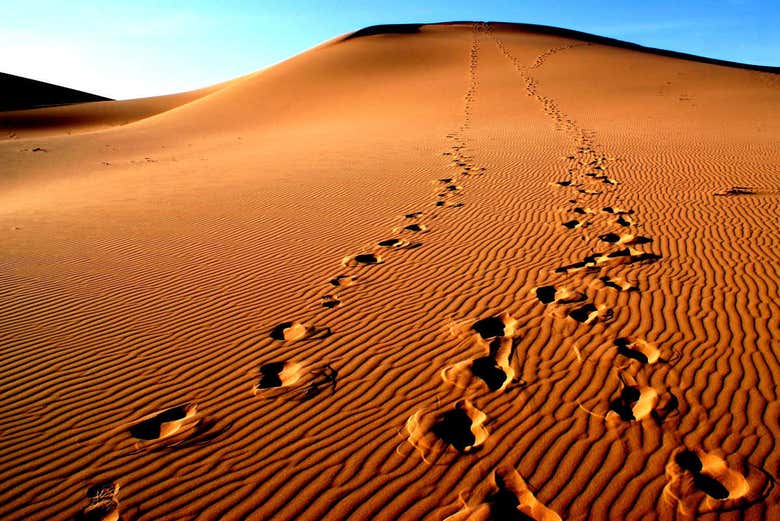 Orme sulle dune di sabbia