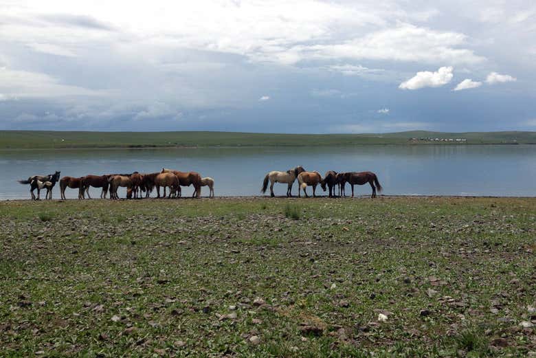 Le lac Ugii