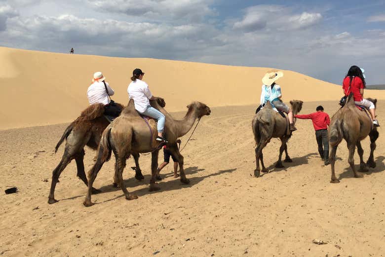 Giro in cammello nel deserto del Semi Gobi