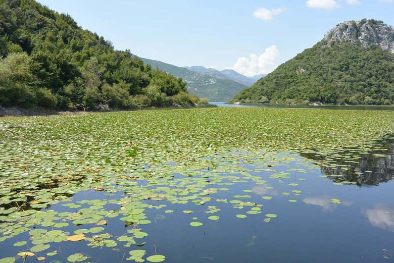 Panorâmica interior do lago Skadar