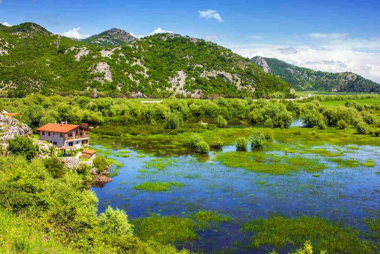 Virpazar