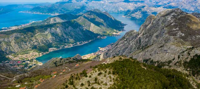 Excursion au Parc National Lovćen et Njeguši