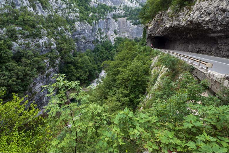 In arrivo a Biogradska Gora