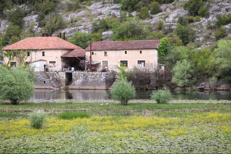 Edifici storici sulle rive del lago Scutari