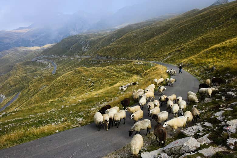 Esplorando il Parco nazionale di Durmitor