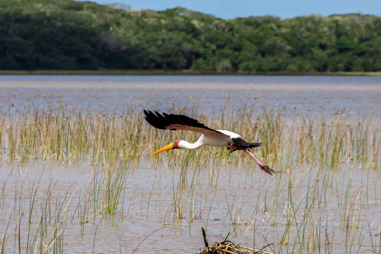 Paysages du lac Xinguti