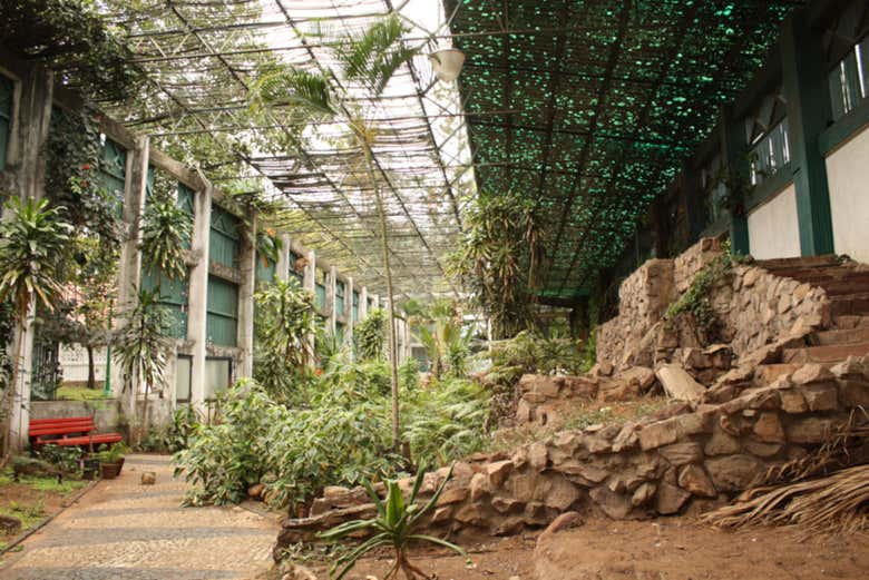 Jardin Tunduru
