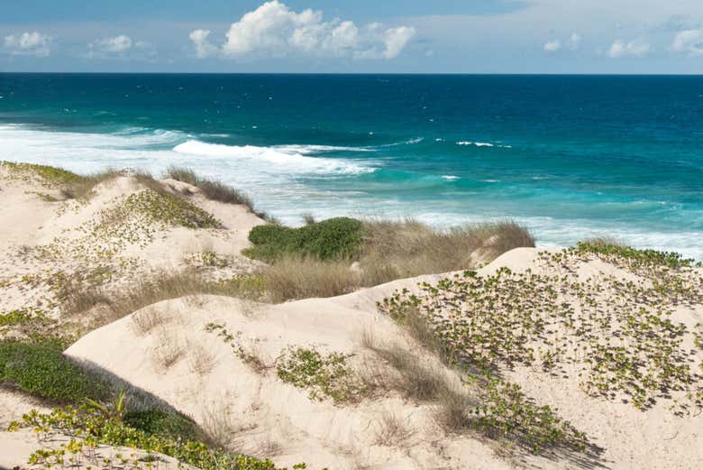 Plage de Calanga