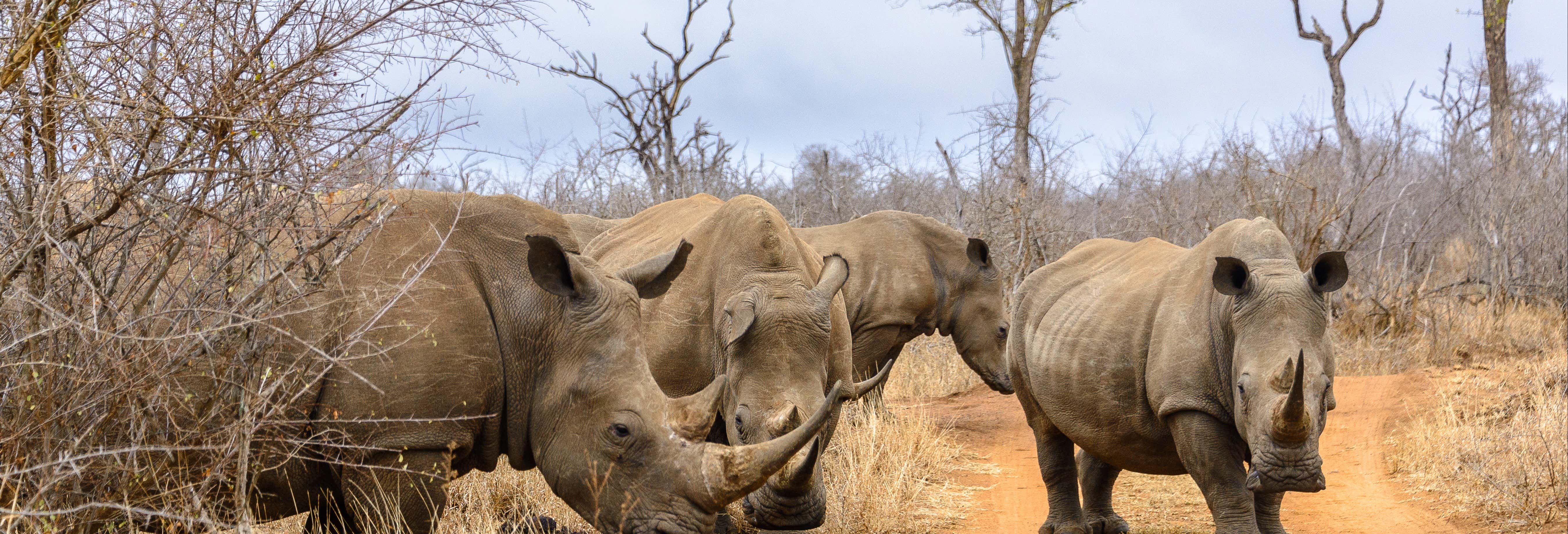 Excursiones de un día en Maputo
