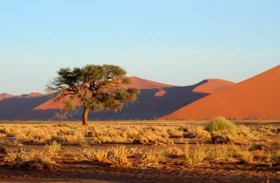Sossusvlei