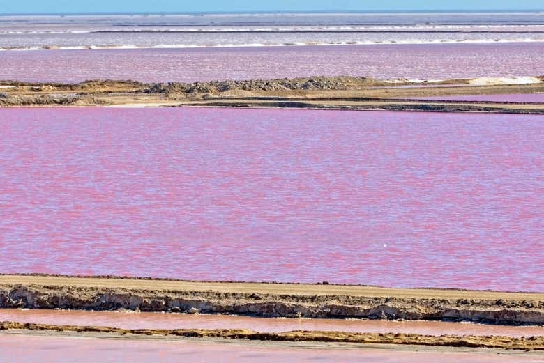 El lago rosa que veremos