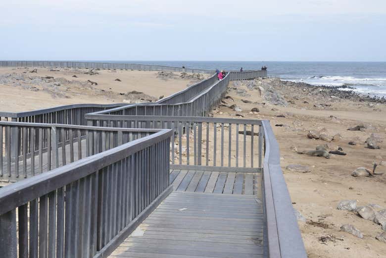 Passerella per turisti nella Riserva di Cape Cross