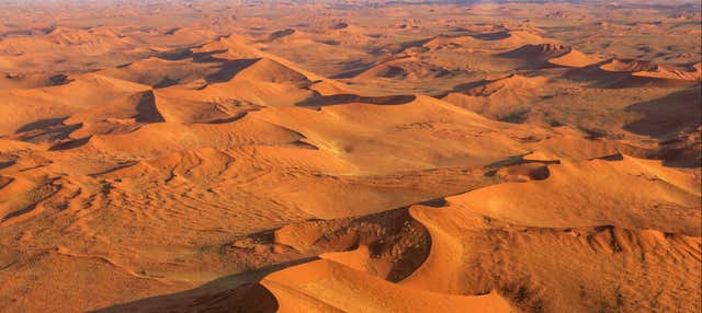 Tour por el desierto del Namib