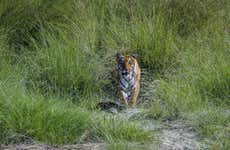 Excursión de 2 días al Parque Nacional de Chitwan