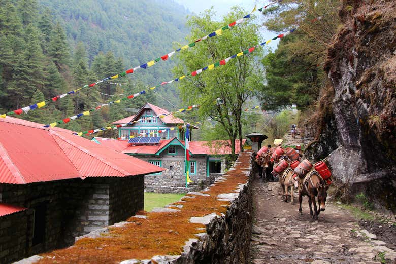 Saliendo de Lukla