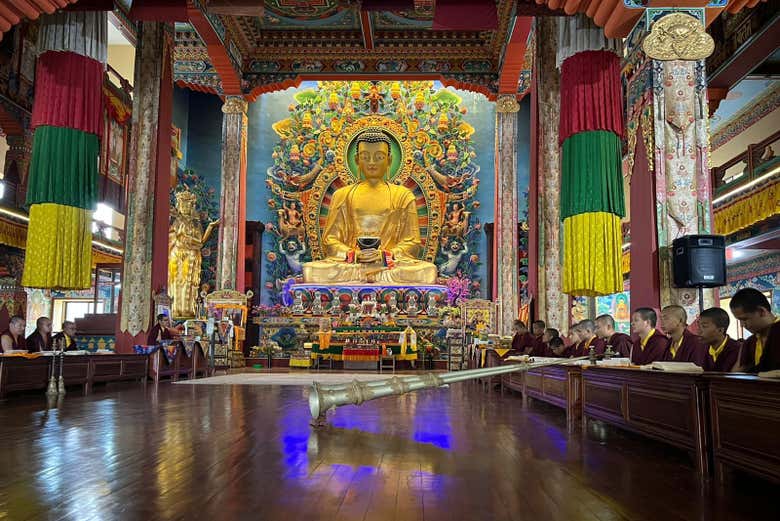 Será una experiencia cultural de lo más inmersiva
