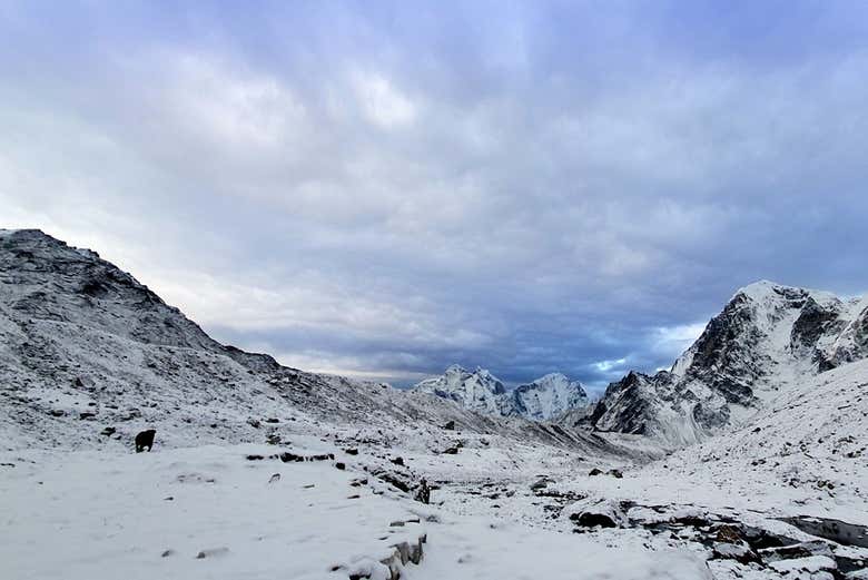 Paisaje nevado en el Himalaya