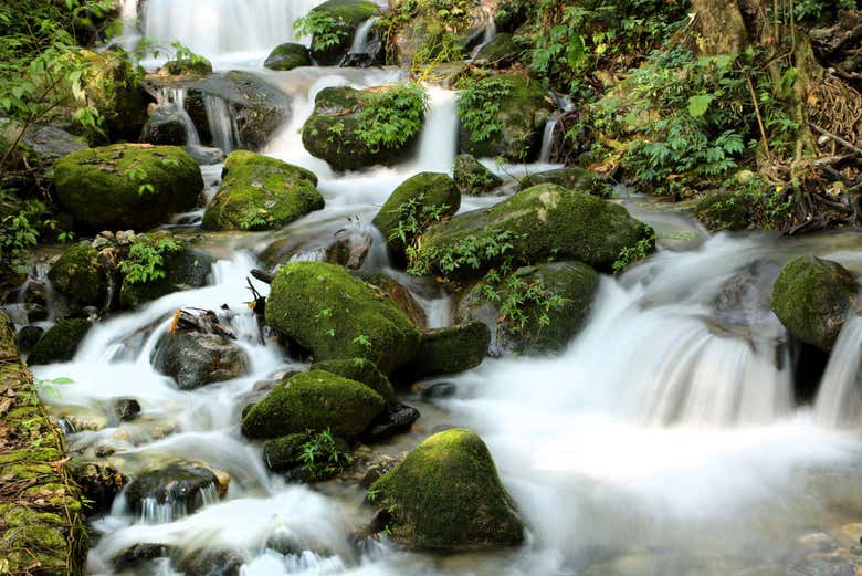 Parque Nacional Shivapuri