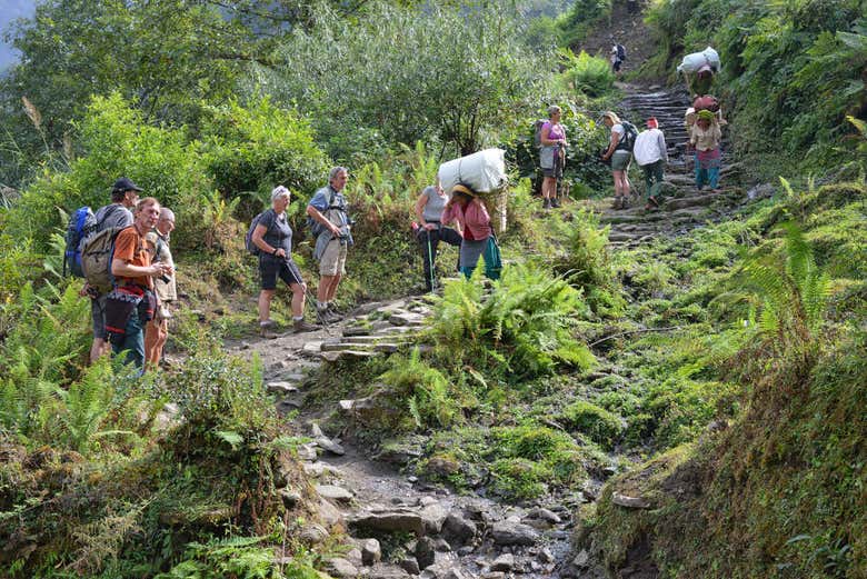 Ruta de trekking por Nepal