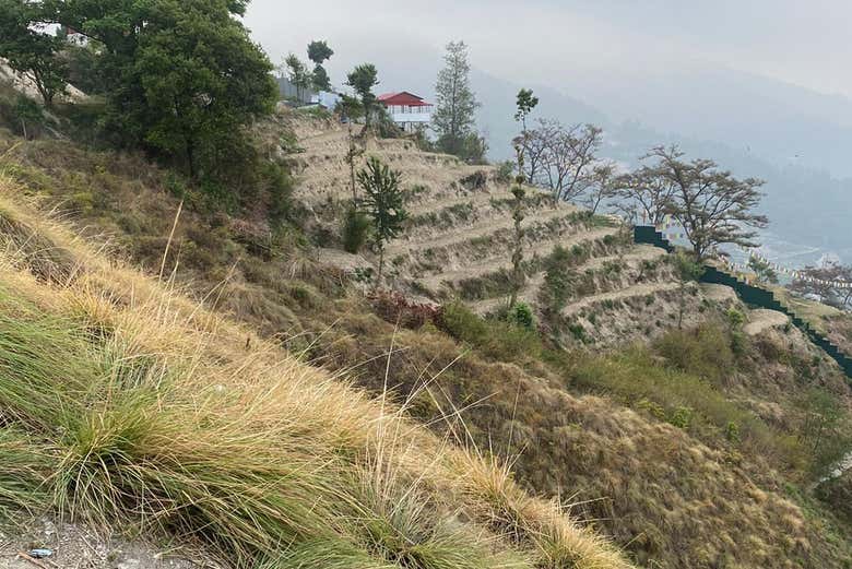 Immersi nel verde a Katmandu