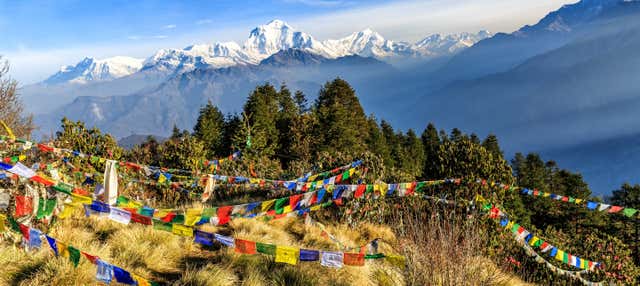 Ruta privada de trekking por Ghorepani y Poon Hill en 10 días