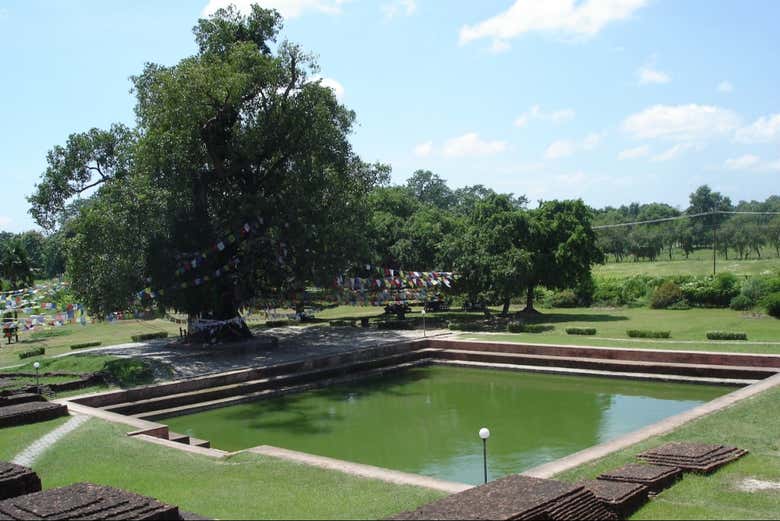 L'un des étangs de Lumbini