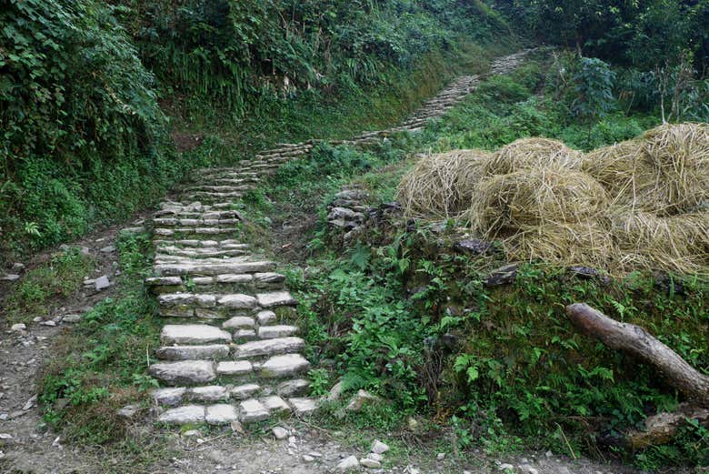 Hike up Anadu Hill