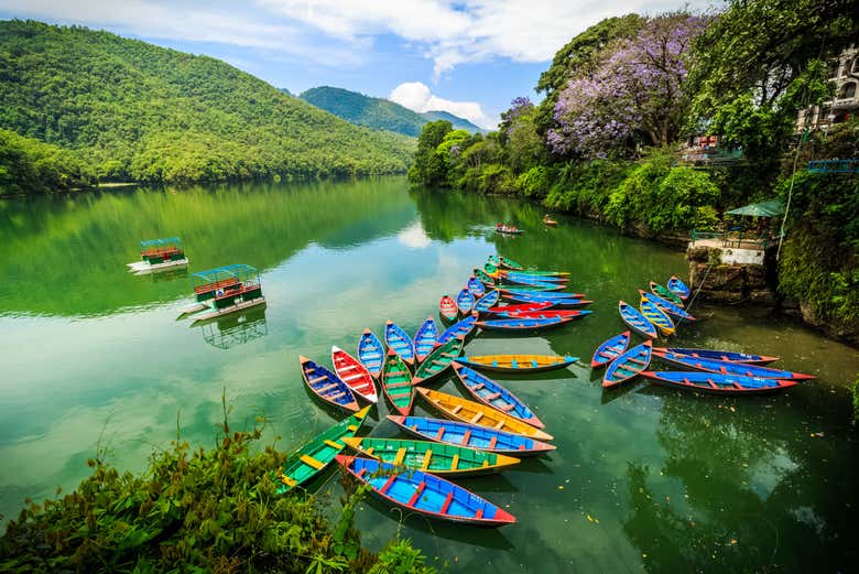 Immerse yourself in nature