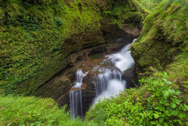 Cascade Davi