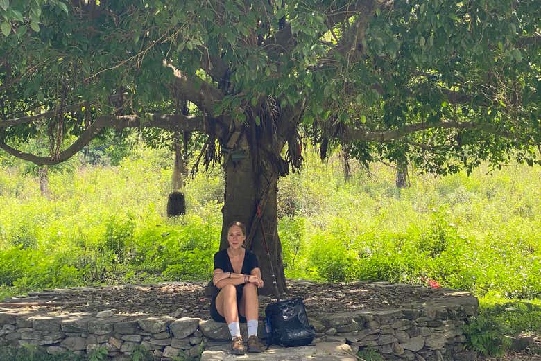Descansando bajo la sombra de un árbol
