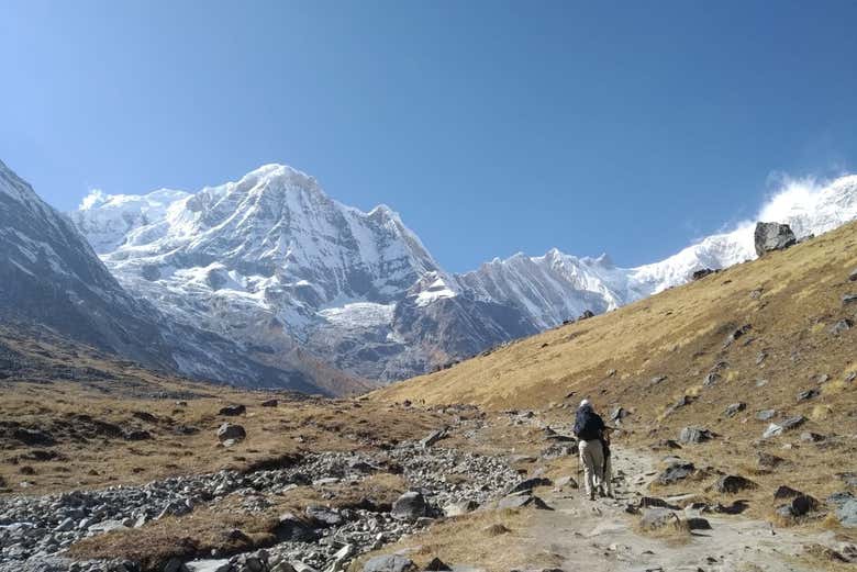 Enjoying the views on the trek