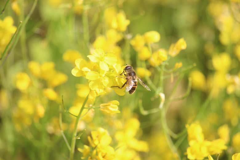 Spend a day in nature