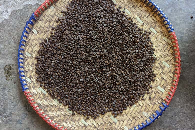 Grains de café récoltés !