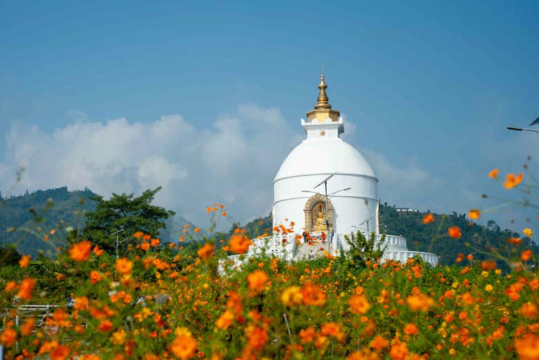 Pagode de la Paix Mondiale à Pokhara