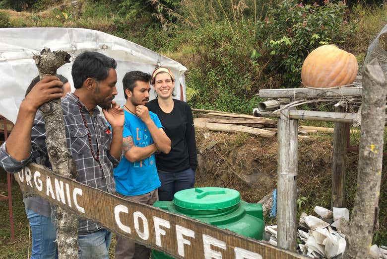 Visitez les plantations de café