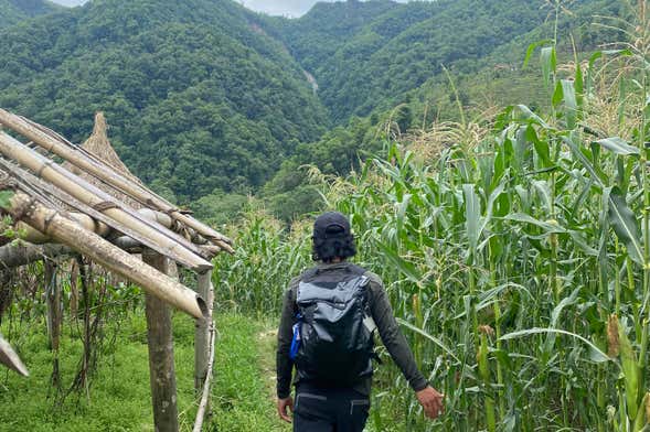 Senderismo por el Lago Phewa