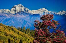 Trekking de 3 días por Poon Hill y Ghorepani