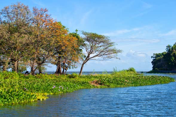 Excursión a las islas Zapatera y El Muerto