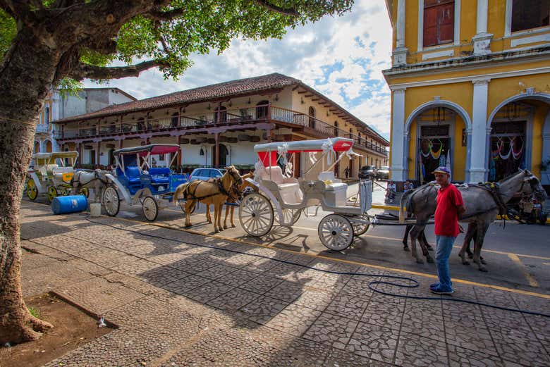 Carruajes tirados por caballos en Granada